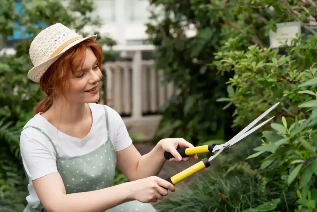budget garden shears Dutch backyard