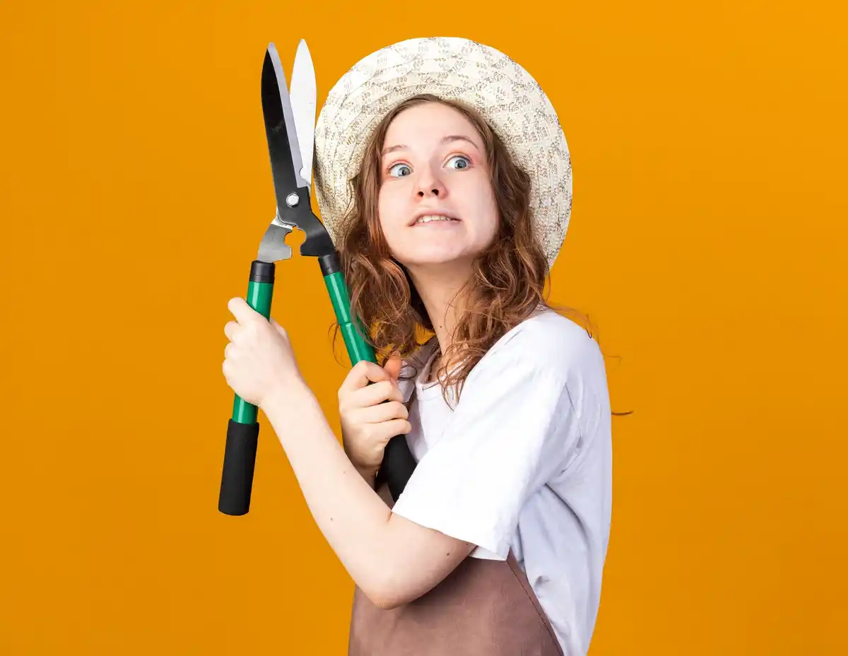 cheap garden shears in hand with Dutch garden background