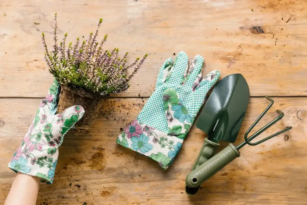 traditional Dutch garden hand tools