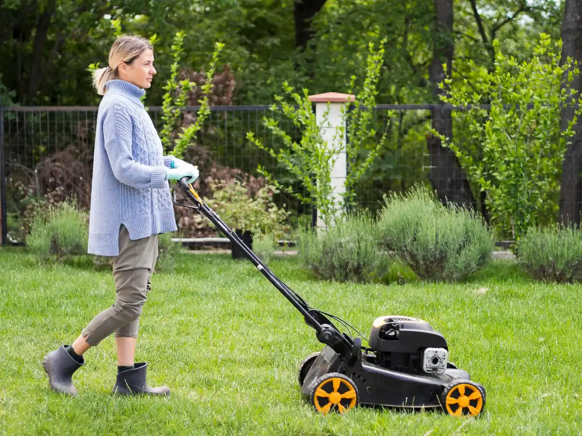 robot lawn mower night garden Netherlands