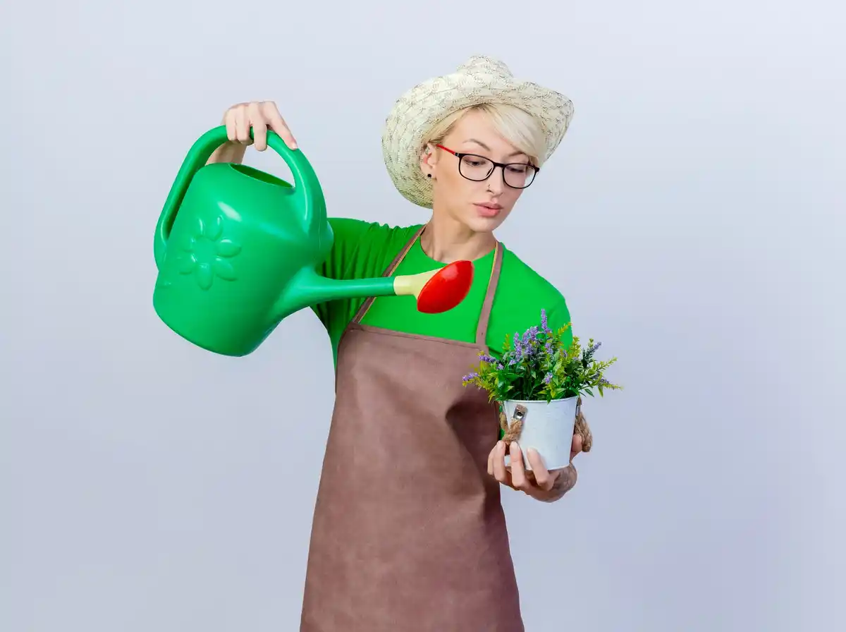 dutch grandmother gardening organic alternative
