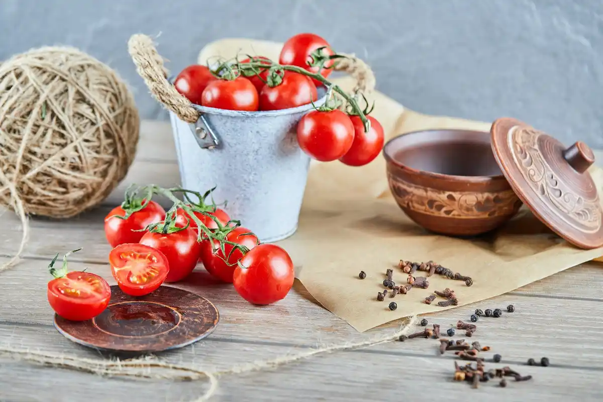 Dutch tomato plants with kitchen waste fertilizer, home garden closeup