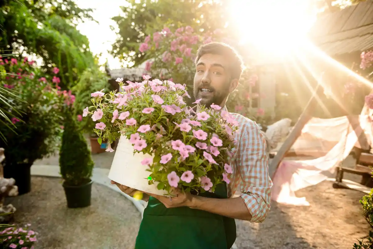 person harvesting edible flowers from pots Dutch urban garden 2025