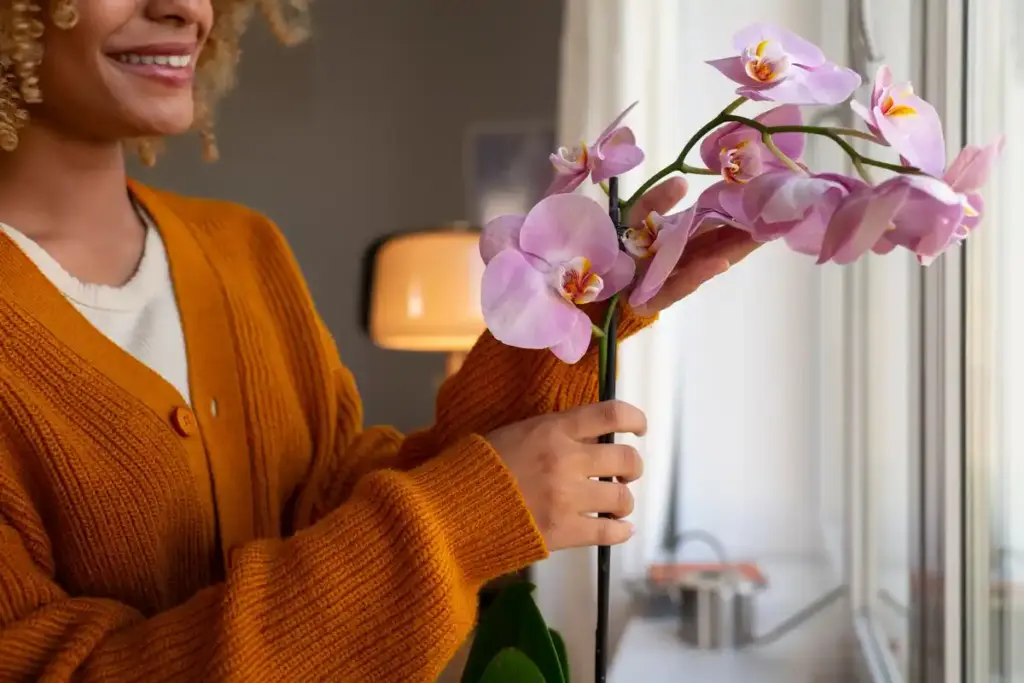 orchid plant care old pantyhose hack