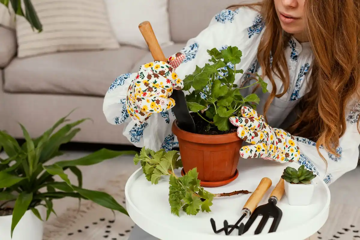 creative plant support at home with old pantyhose