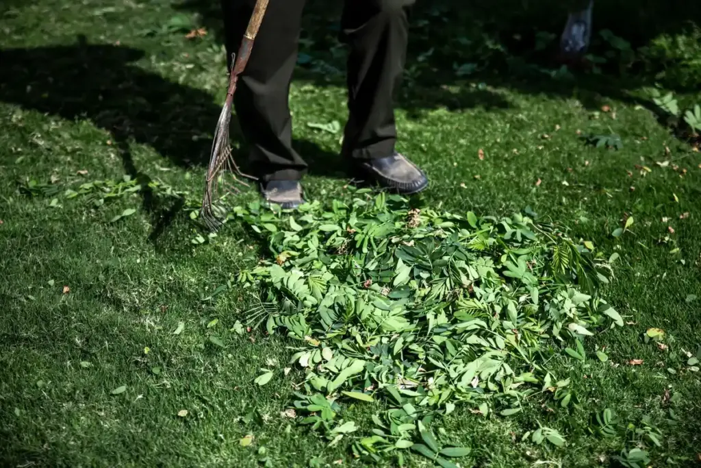 damaged hedge hedge trimmer netherlands
