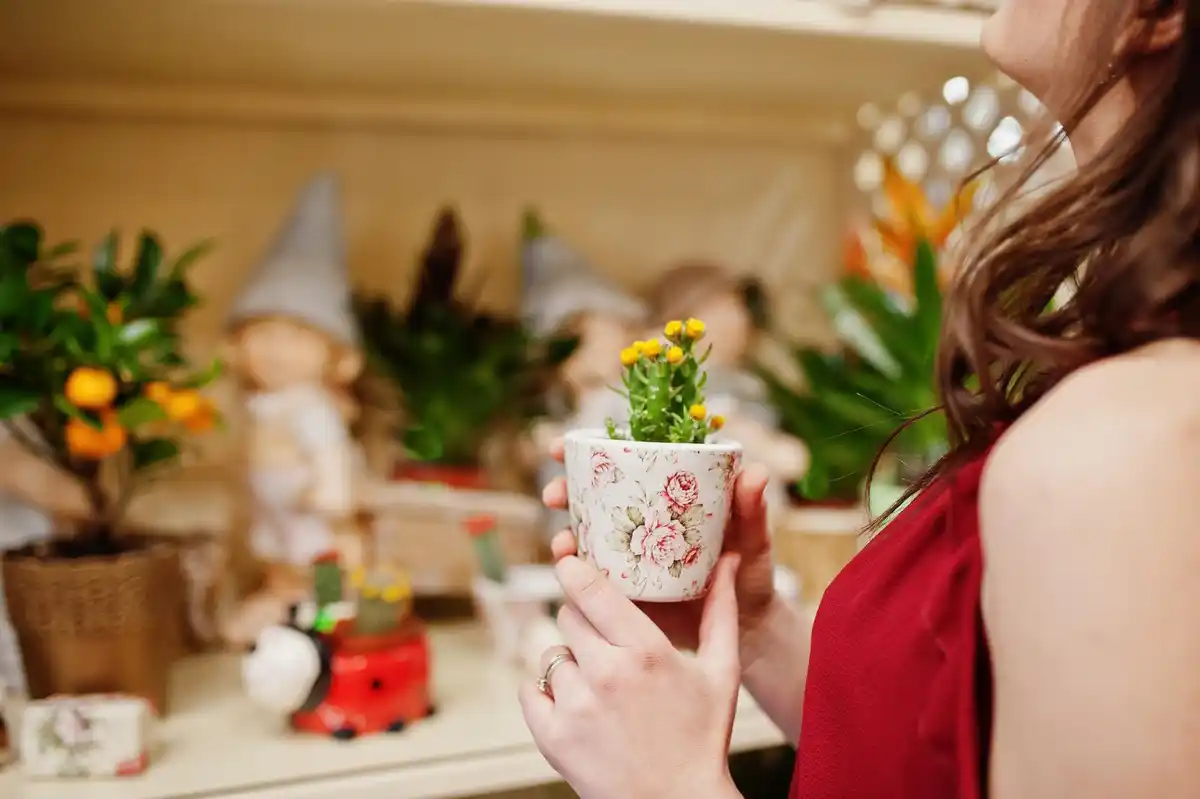 urban windowsill blooming plants 2025 trend