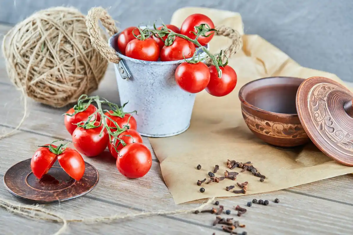 urban balcony tomato plant with homemade fertilizer