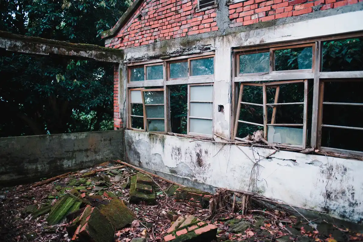 dutch greenhouse destruction after storm
