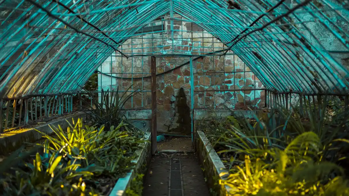 secure dutch greenhouse garden storm prevention