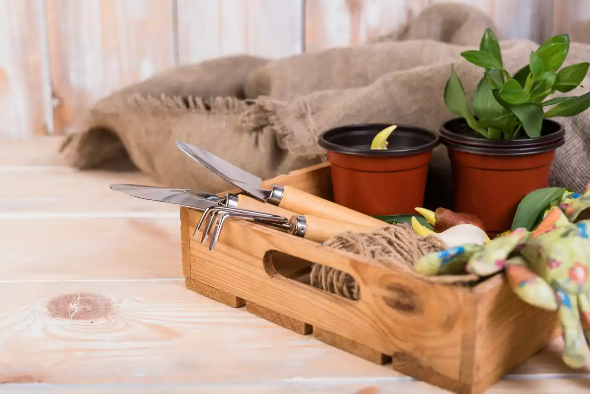 traditional dutch gardening hand tools on table allotment shed