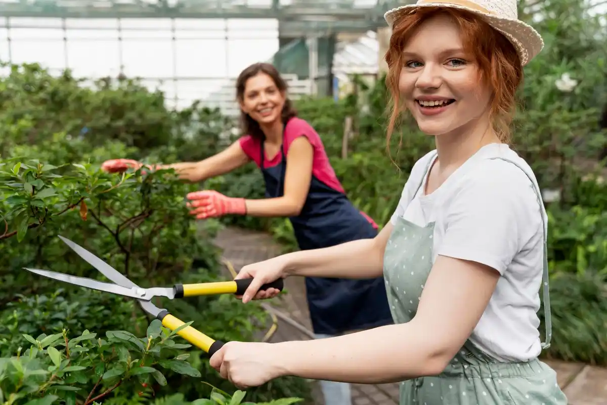 dutch gardener using hand hoe in urban vegetable garden
