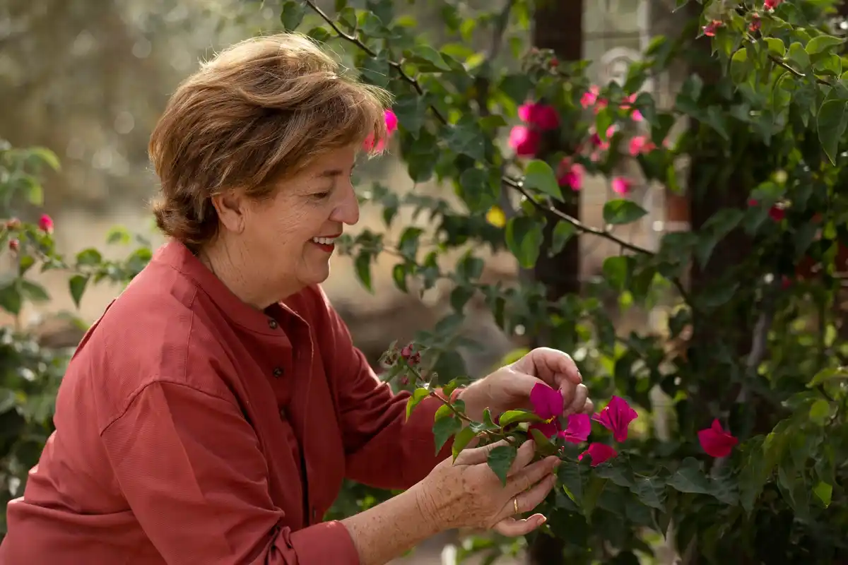senior woman caring fruit trees dutch garden spring