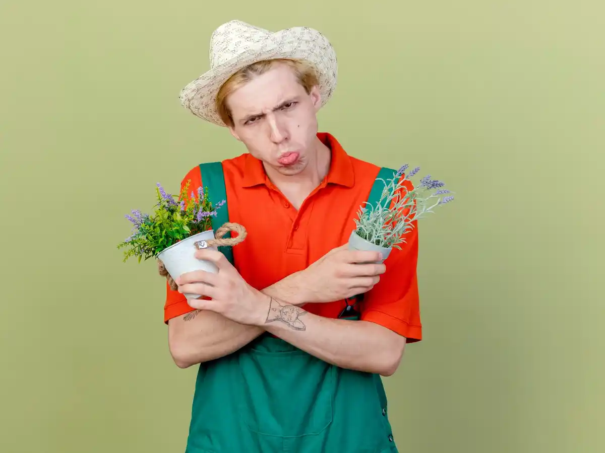 dutch gardener upside down hoe technique allotment