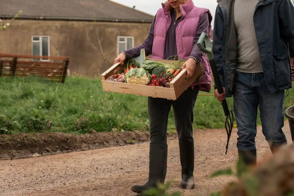 Dutch urban compost application in agriculture field