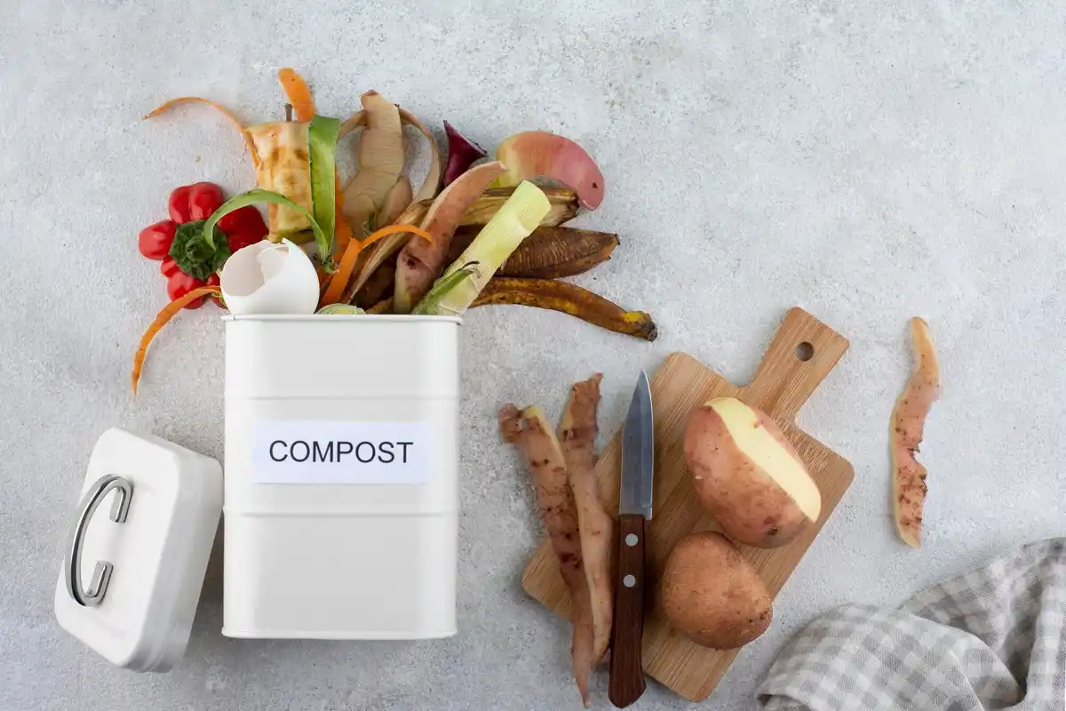 kitchen waste as plant fertilizer garden Netherlands
