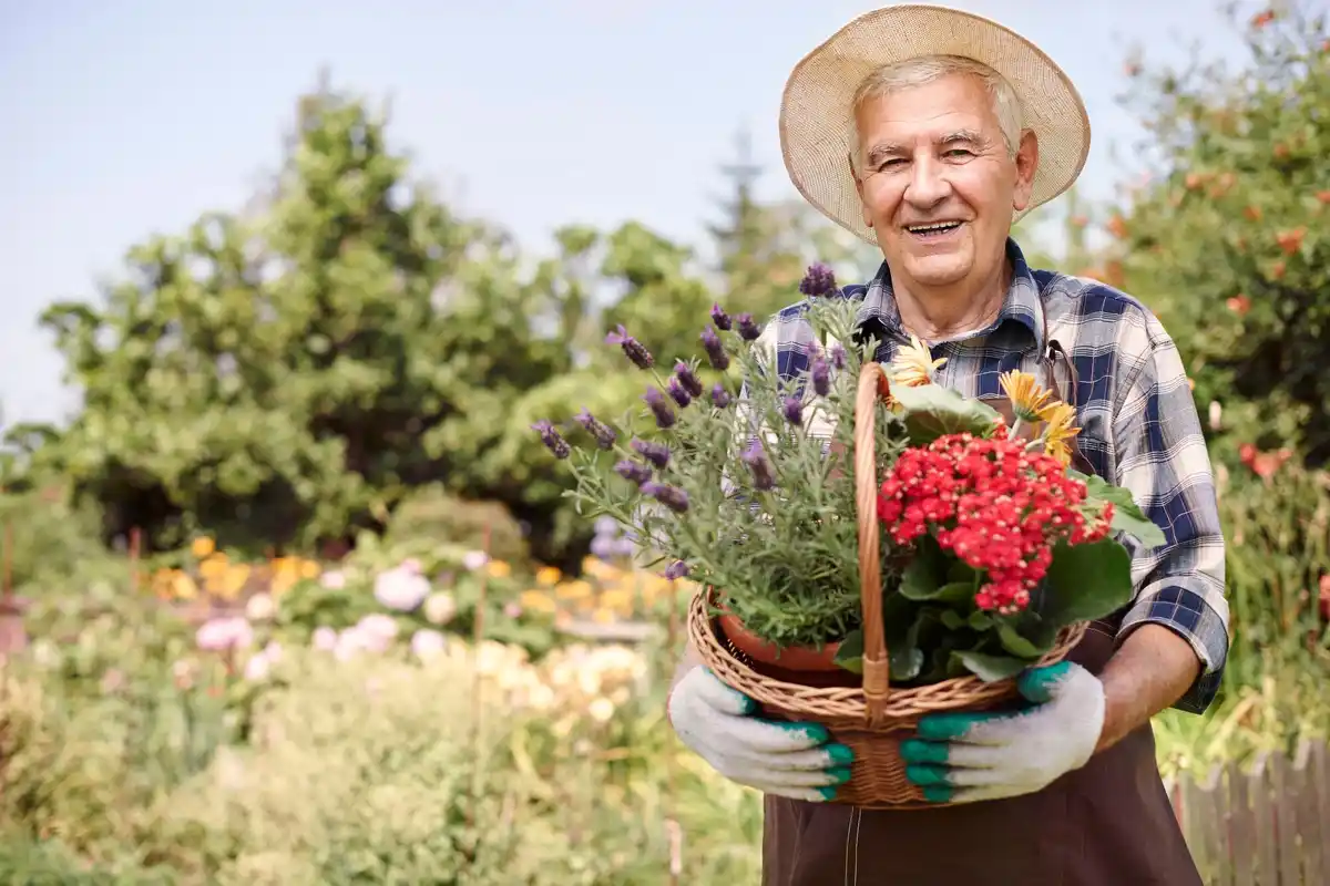 elderly gardening dutch village flowers