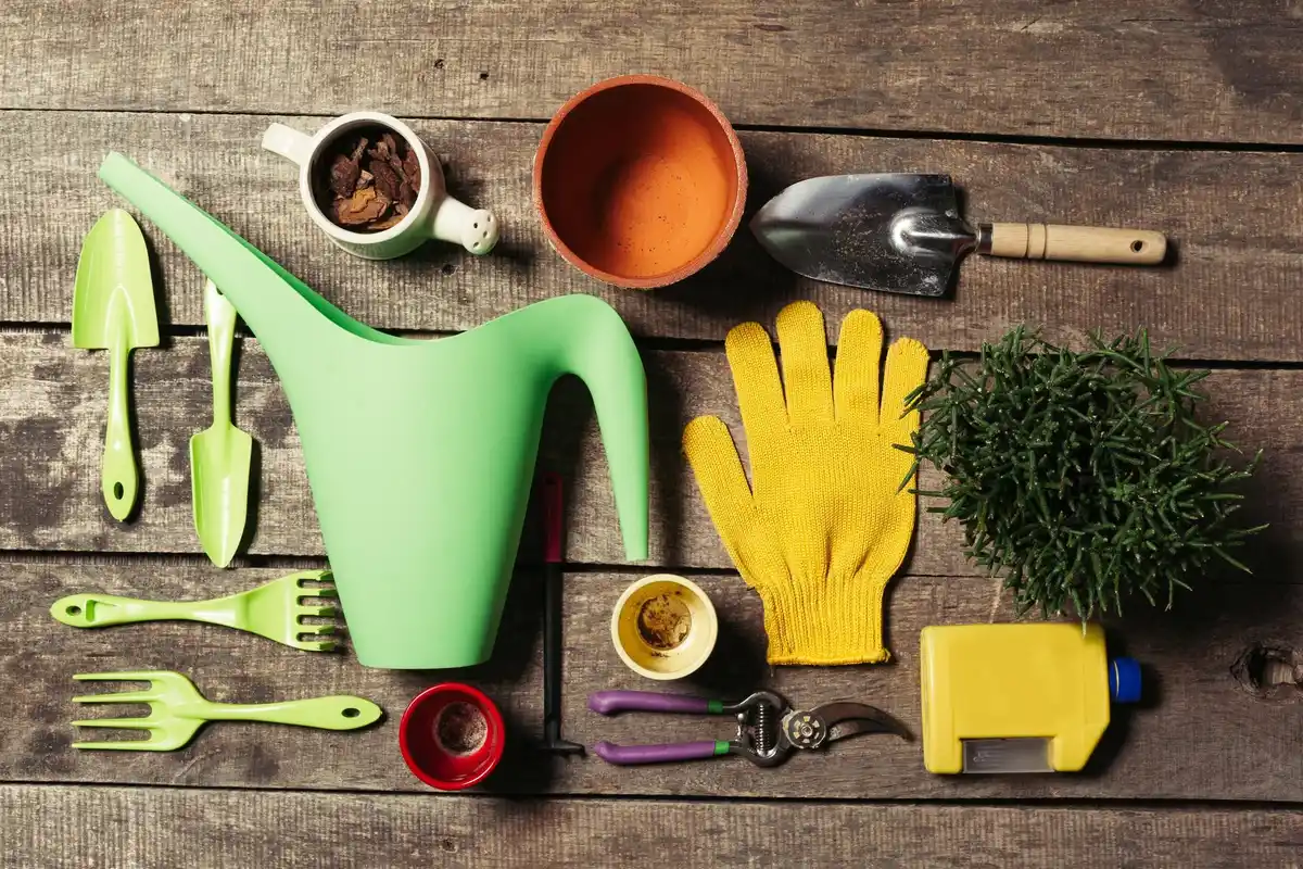 garden scissors rice jar storage hack