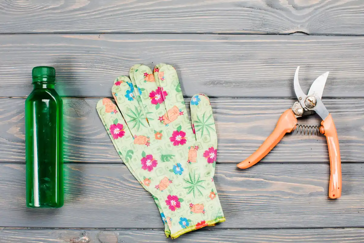 old socks in garden use