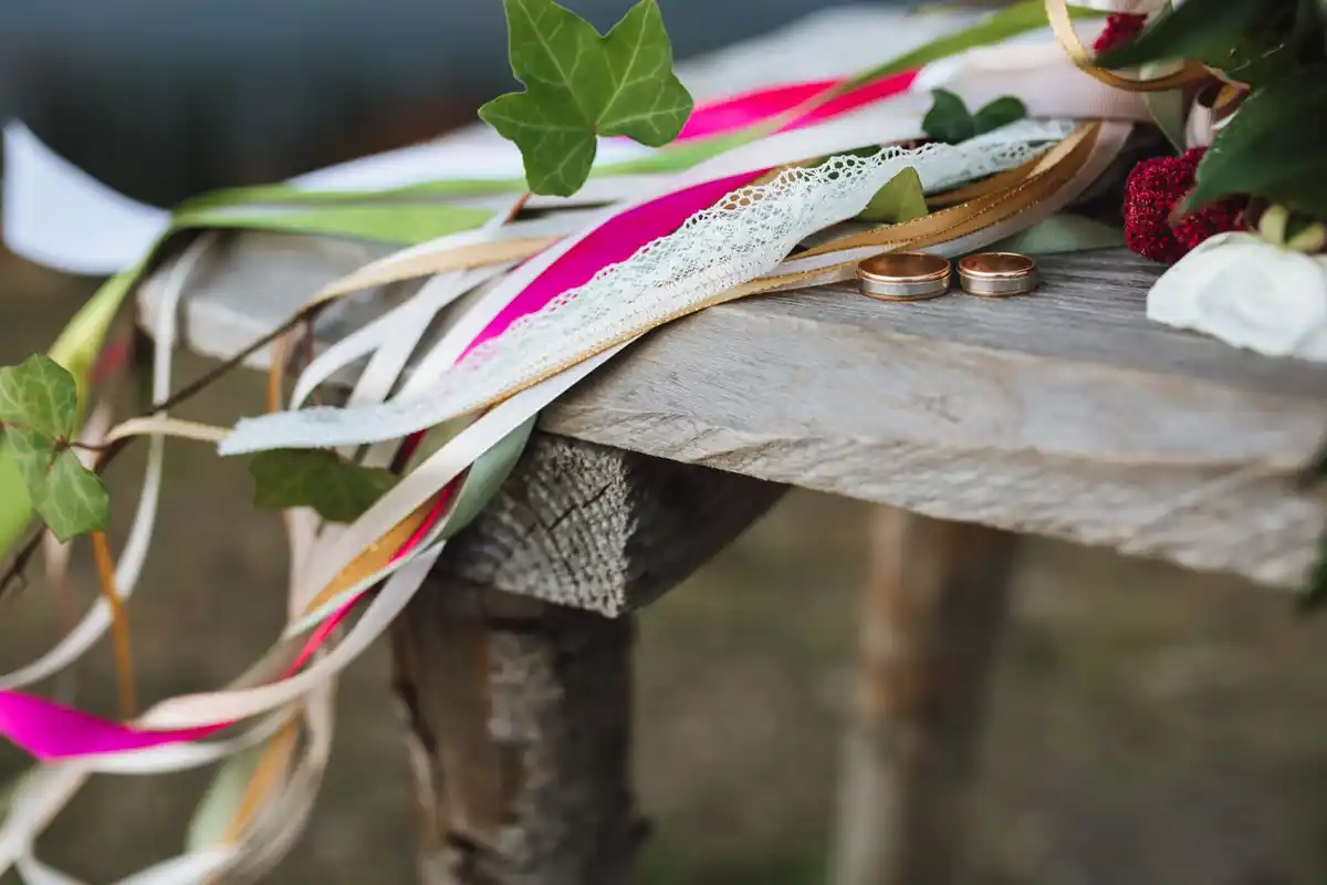 old newspaper wrapped around fruit tree in the Netherlands