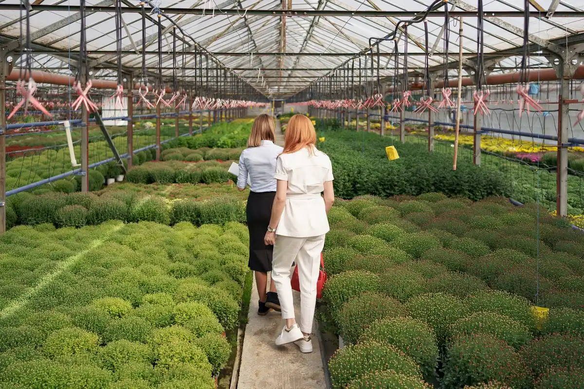 modern dutch greenhouse with urban garden