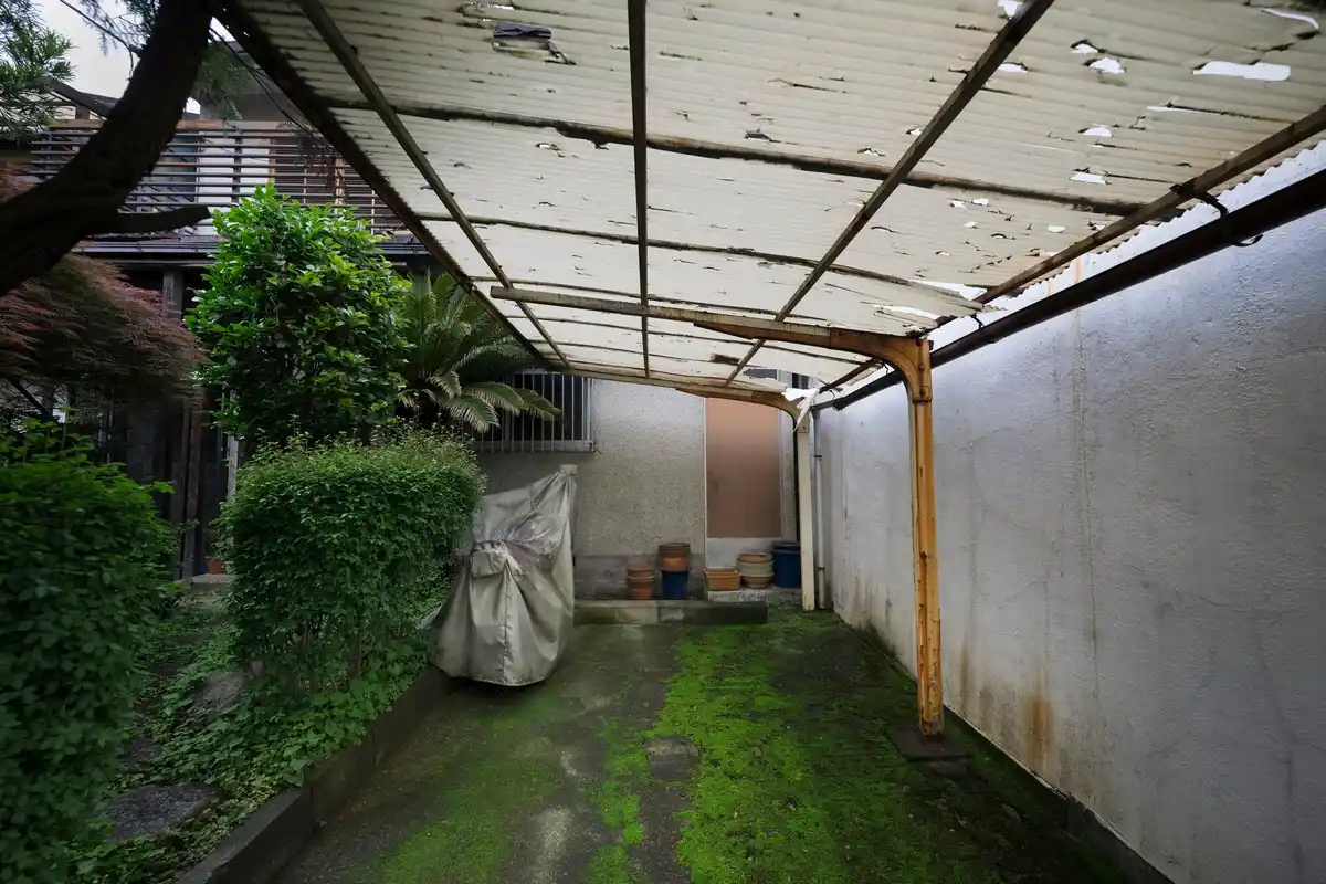 misplaced greenhouse garden netherlands
