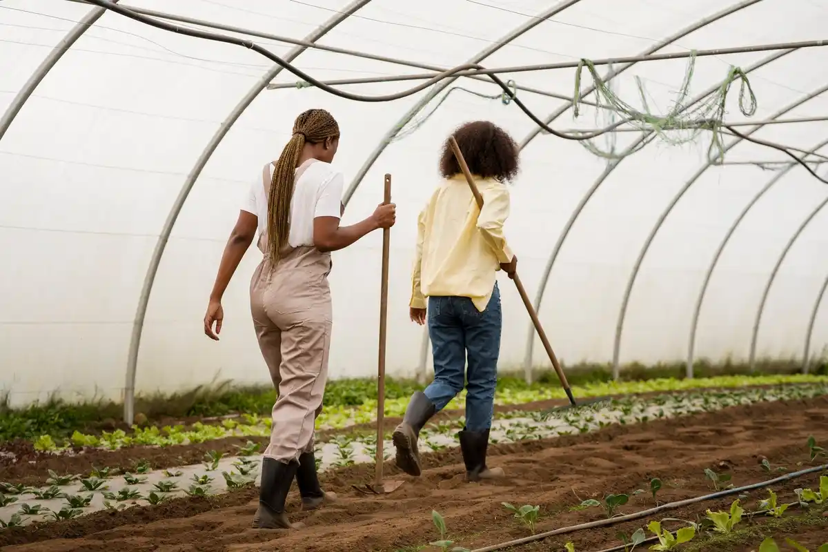 greenhouse placement mistake netherlands