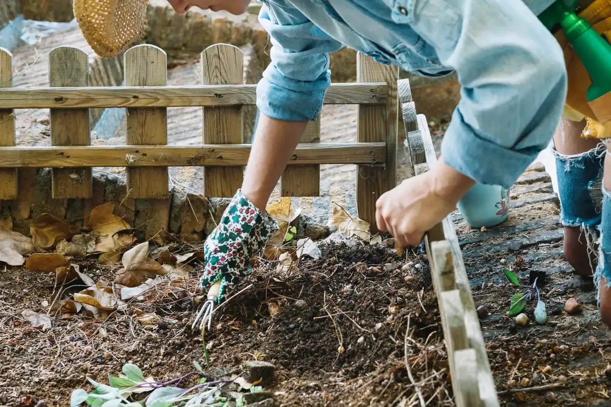 newspaper mulch garden Netherlands