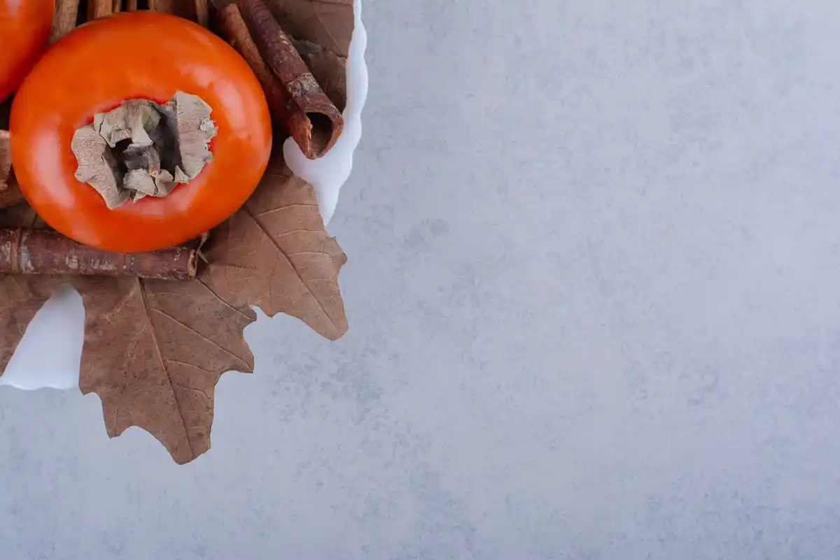homegrown tomatoes with composted kitchen scraps netherlands