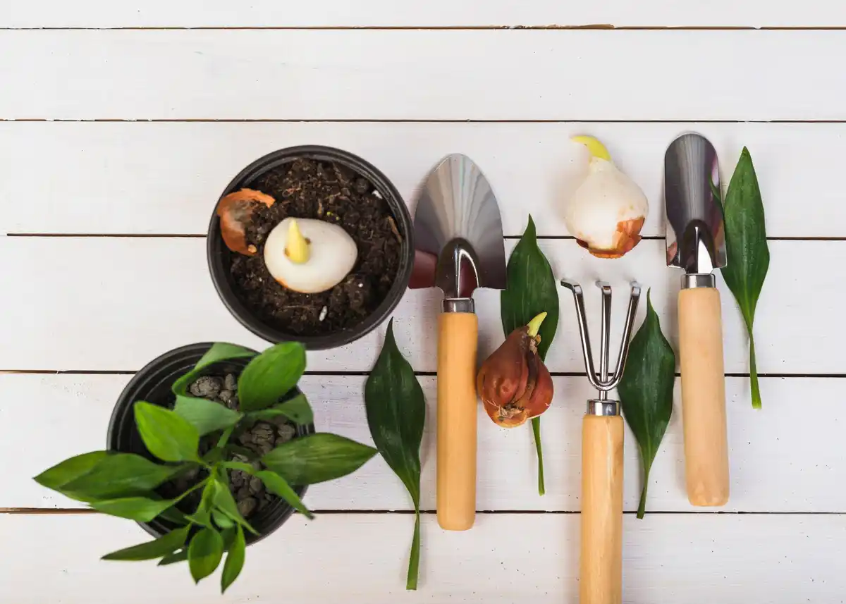 feng shui garden tool organization netherlands