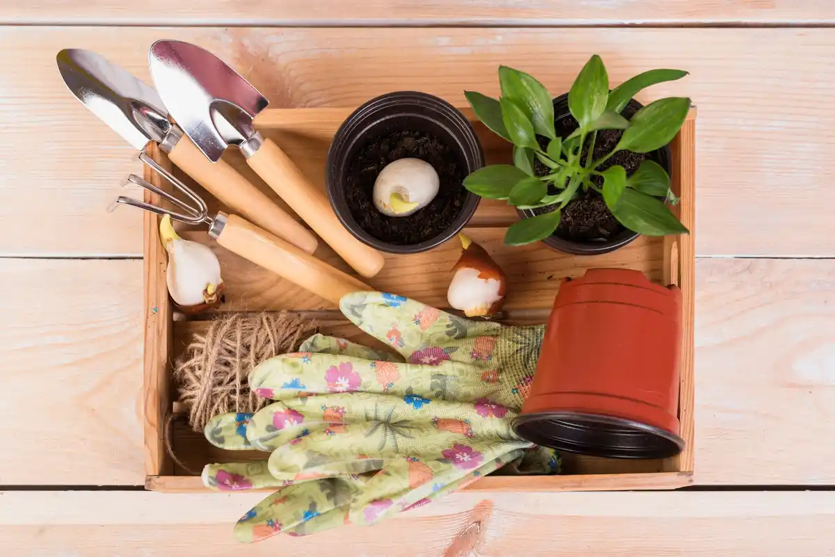 feng shui garden tools storage shed netherlands
