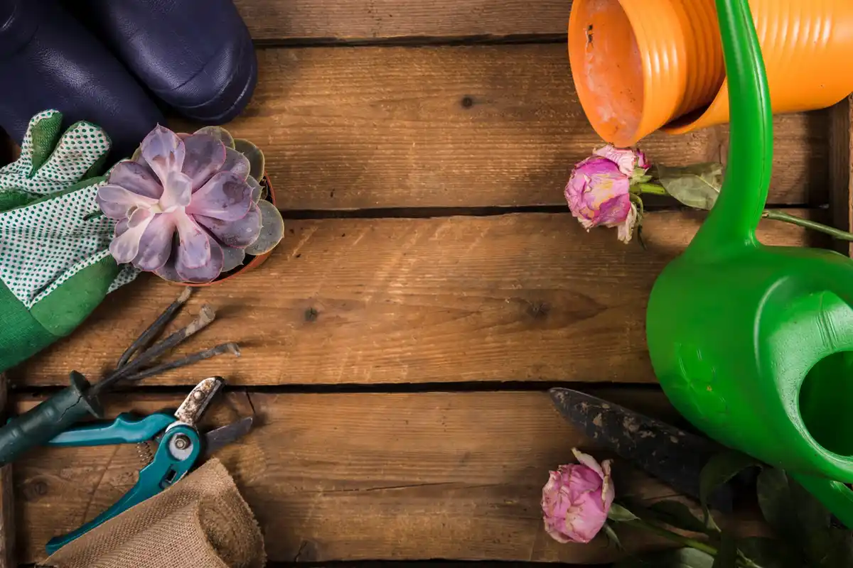 organized garden shed tools hanging sunlight