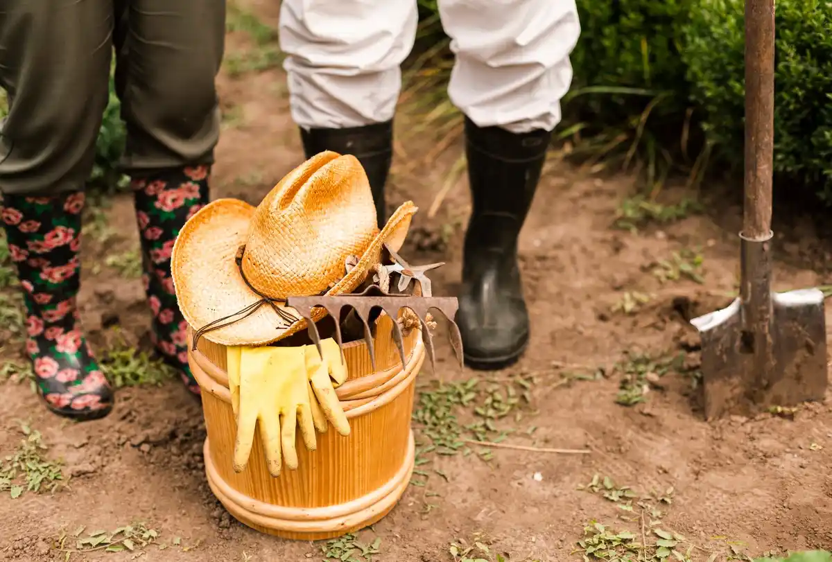 Dutch gardening tools in use with linseed oil harvest