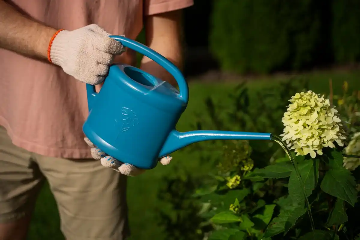 hands holding watering can old Dutch garden