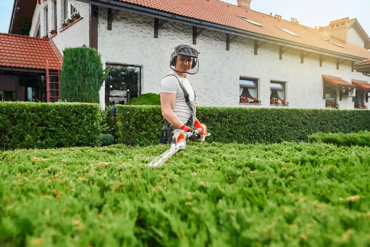 lawn mower stuck wet grass netherlands