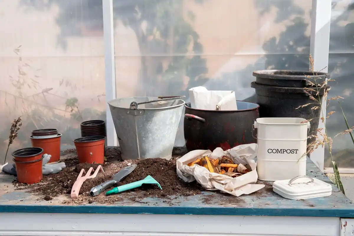 homemade fertilizer kitchen salt urban gardening Netherlands