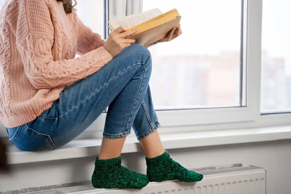 netherlands window indoor plants radiators winter