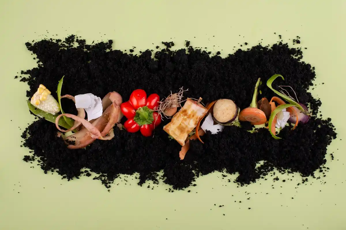 homemade plant fertilizer from kitchen waste