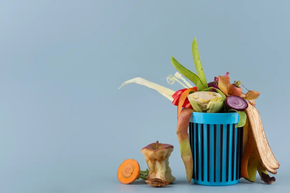 urban indoor plants recycling coffee grounds eggshells banana peels
