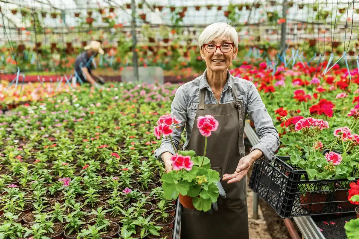 senior greenhouse gardening Netherlands