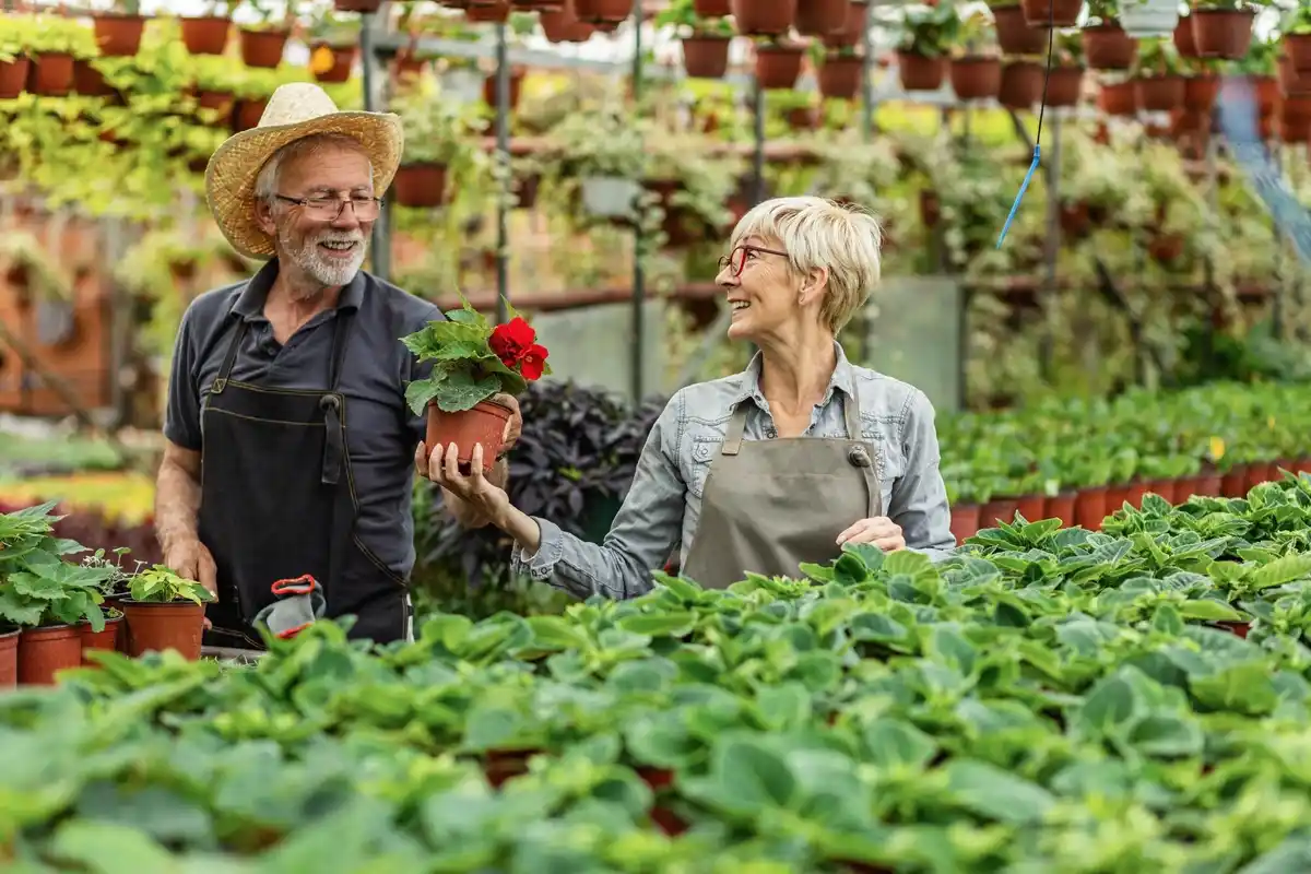 Dutch retirees watering greenhouse plants