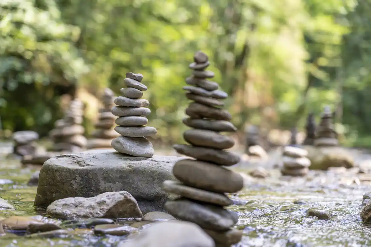 herb garden feng shui stones netherlands