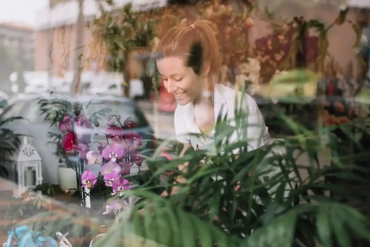 feng shui garden shed Netherlands modern organization plants