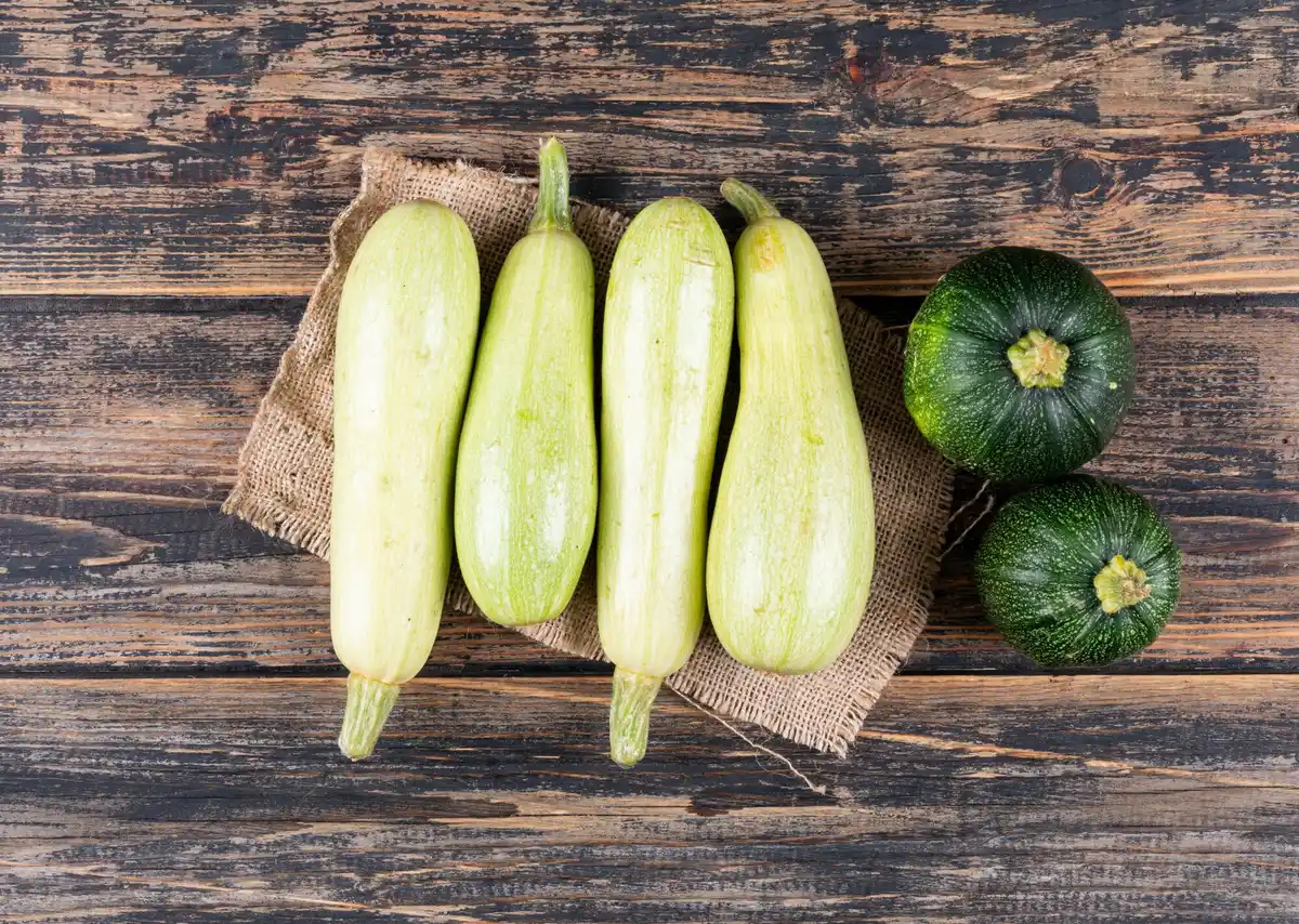 vertical zucchini plant in Dutch garden