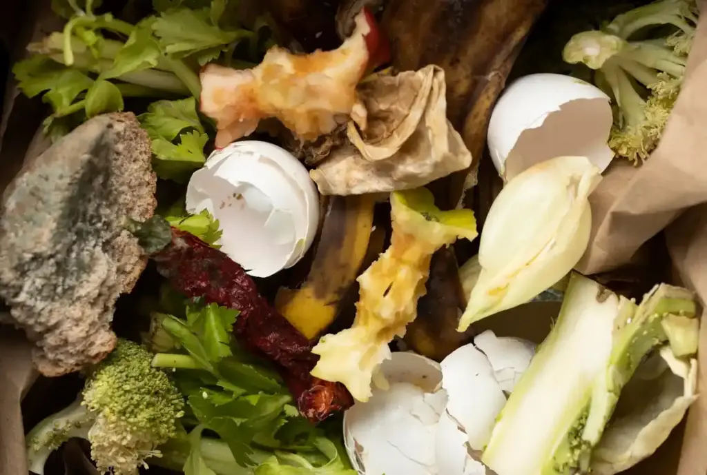 composting kitchen waste in Dutch garden