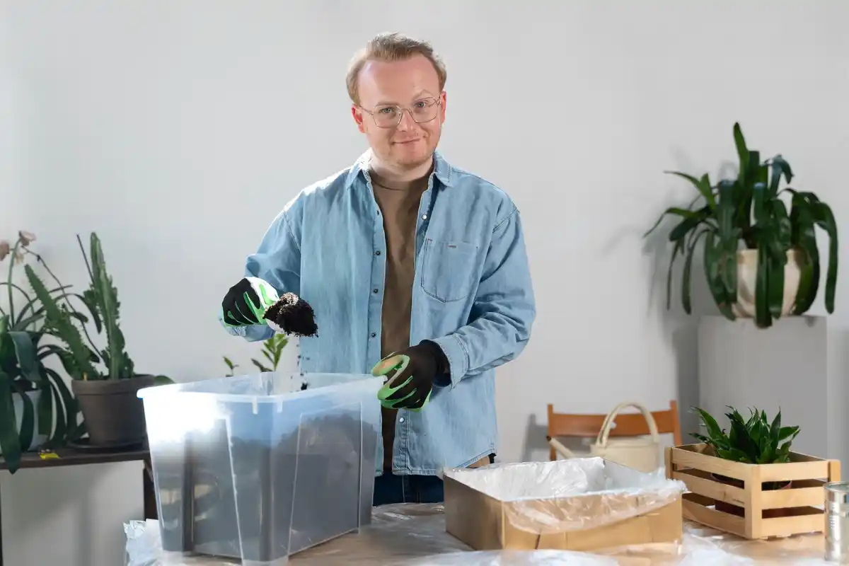 greenhouse fertilizer mistakes dutch garden