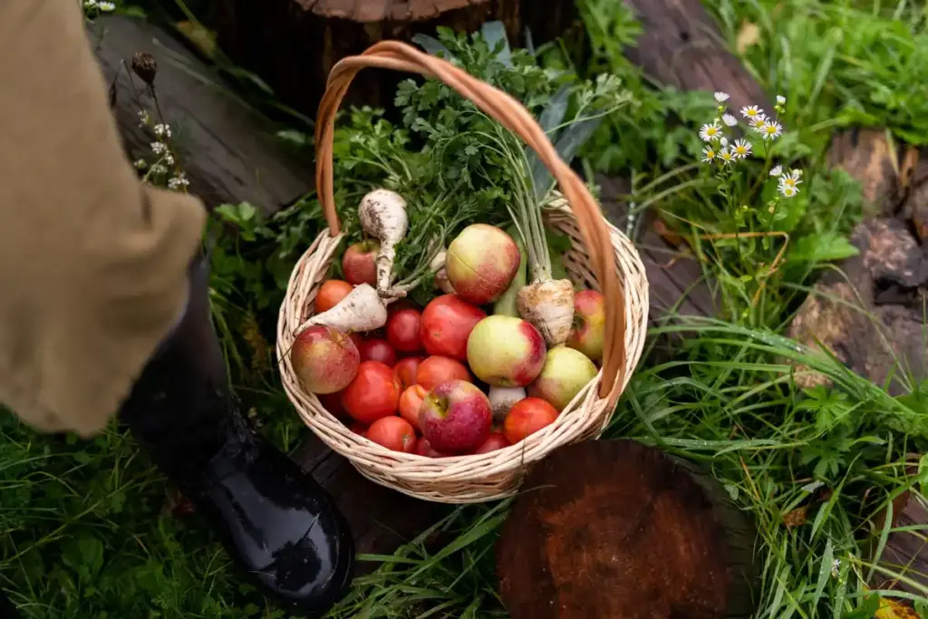 dutch vegetable garden handpicking slugs organic
