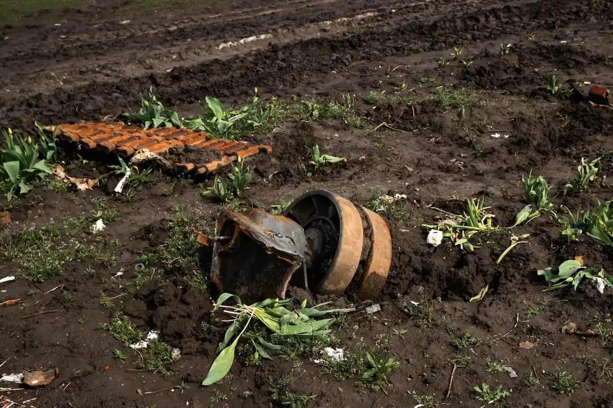 Dutch vegetable garden with slugs damage