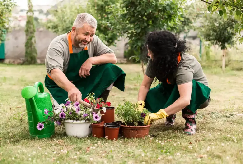 senior gardening ergonomic tools Netherlands
