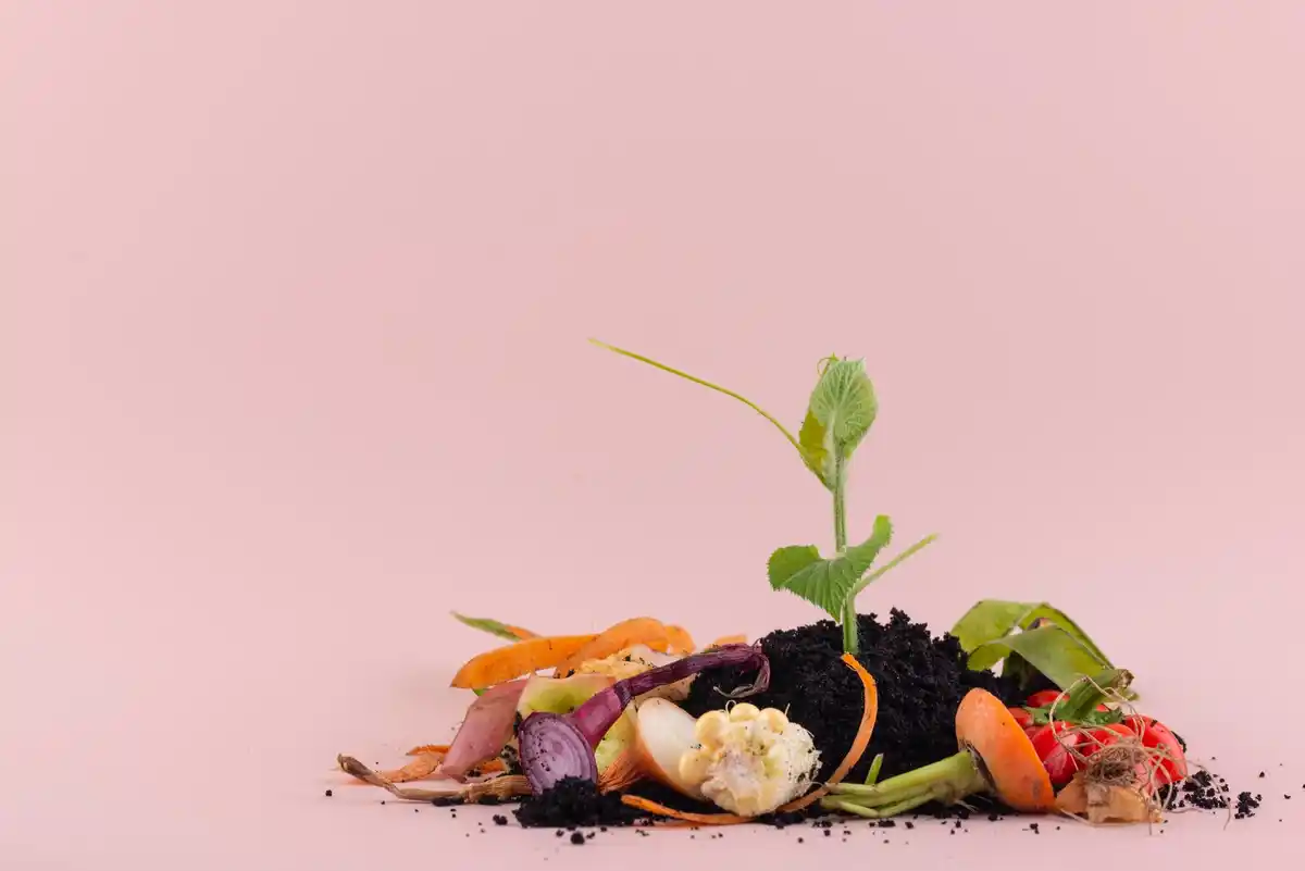 composting vegetable kitchen waste garden salad